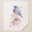 Search for bluebird blankets Wildlife