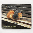 Search for feral mousepads Nature