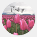 Search for beautiful tulips stickers Nature