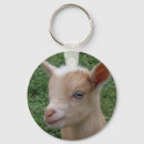 Search for farm round key rings Herd