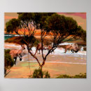 Search for kangaroos posters Wildlife