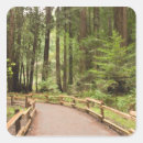 Search for marin county stickers Green