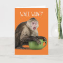 Search for cute monkey birthday cards Funny