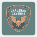 Search for cavern stickers New mexico
