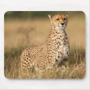 Search for visibility mousepads Horizontal