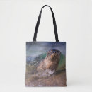 Search for gallery accessories La jolla