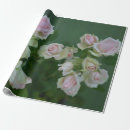 Search for sympathy wrapping paper Flower