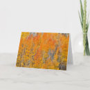 Search for aspens cards Aspen tree