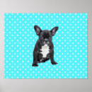 Search for blue french bulldog posters Pet