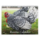 Search for rooster calendars Cute