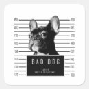 Search for mugshot stickers Animal