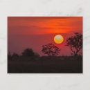 Search for okavango postcards Delta