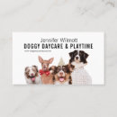 Search for doggy daycare Dog walker
