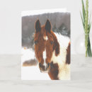 Search for pinto cards Winter