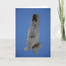 Search for pet sitting cards Golden retriever