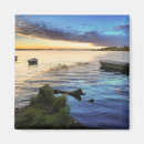 Search for seashell pictures magnets Ocean