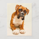 Search for backdrops postcards Colour image