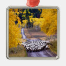 Search for sheep christmas tree decorations Barn