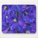 Search for delphinium electronics Blue