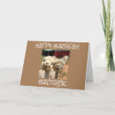 Search for alpaca birthday cards Photography