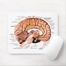 Search for human anatomy mousepads Medical