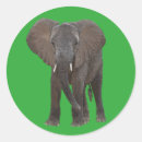 Search for african elephant stickers Kenya