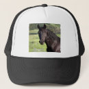 Search for stallion horse hats Horses
