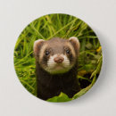 Search for ferret badges Cute animal