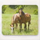 Search for derby mousepads Horses