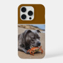 Search for funny crab iphone cases Beach