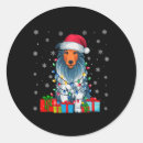 Search for bearded collie stickers Merry christmas