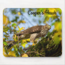 Search for cooperation mousepads Bird