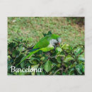 Search for bushes postcards Green