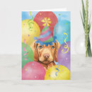 Search for hungarian birthday cards Vizsla