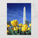 Search for washington spring postcards Monument
