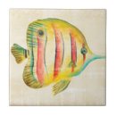 Search for aquarium tiles Orange