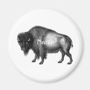 Search for bison magnets Great plains