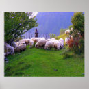 Search for sheep art posters Serene
