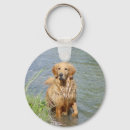Search for chance key rings Dog