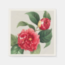 Search for camellia Pierre joseph redouté