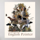 Search for english pointer gifts Breed