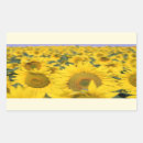 Search for sunflower craft supplies Summer