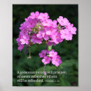 Search for proverbs 11 posters Faith