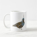 Search for quail mugs Animal