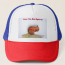 Search for squirrels hats Grey
