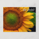Search for birds and blooms postcards Gardering