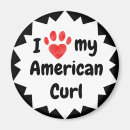 Search for american magnets Cat