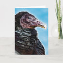 Search for buzzard cards Over the hill