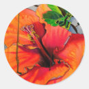 Search for neon flower stickers Tropical