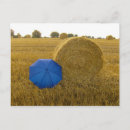 Search for sommer postcards Postkarte